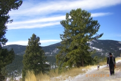IMGP2180
